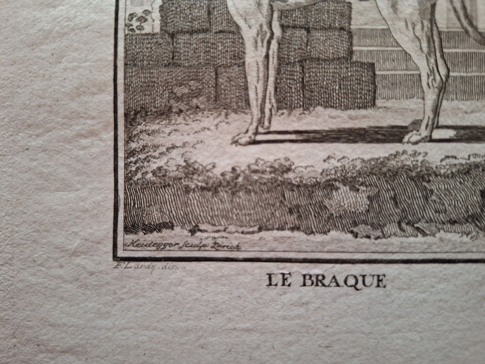 Gravures: LE BRAQUE – D'occasion à Bevaix par bohrap 2