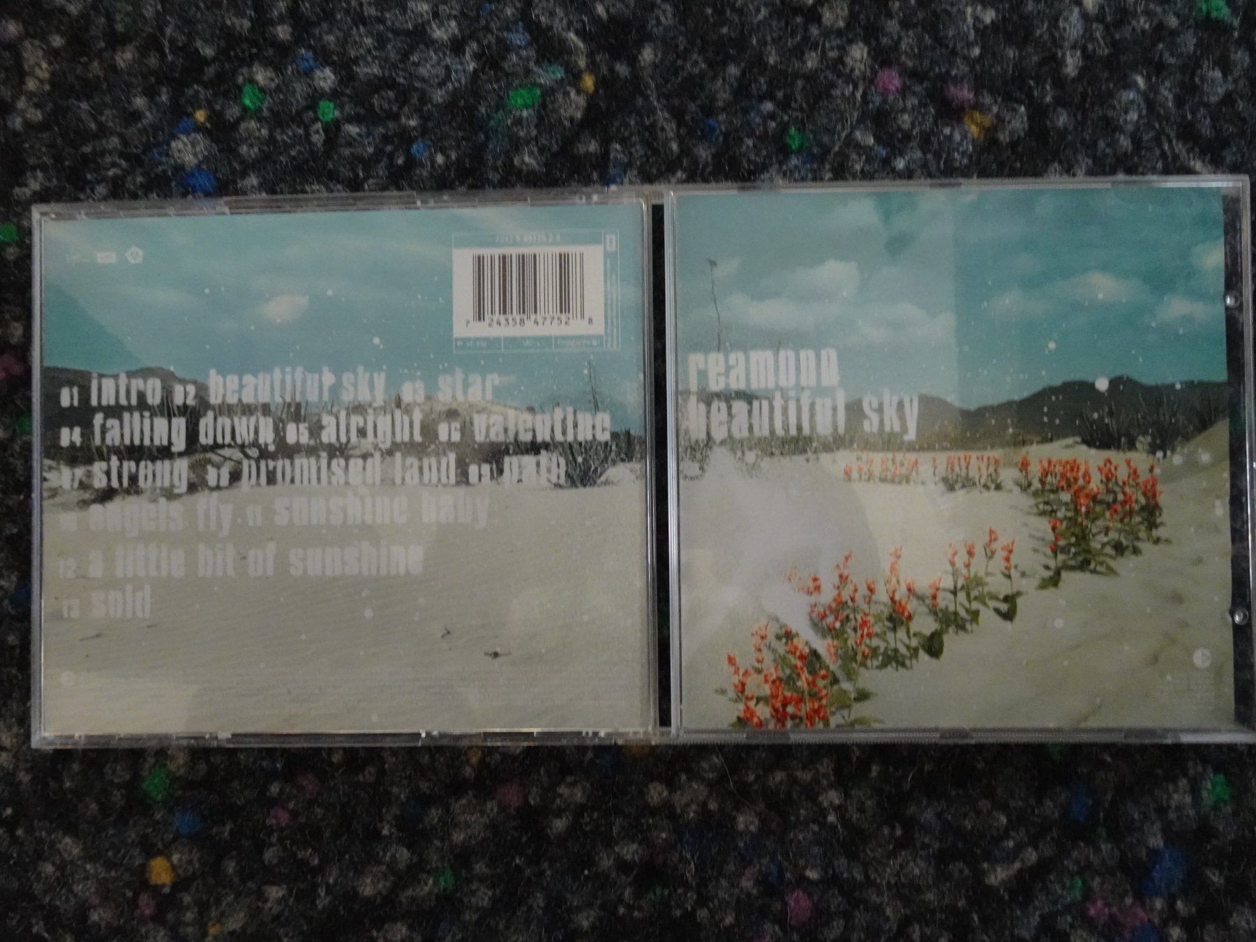 CDs: CD : Reamonn – Gebraucht aus Lotzwil von Kiddis