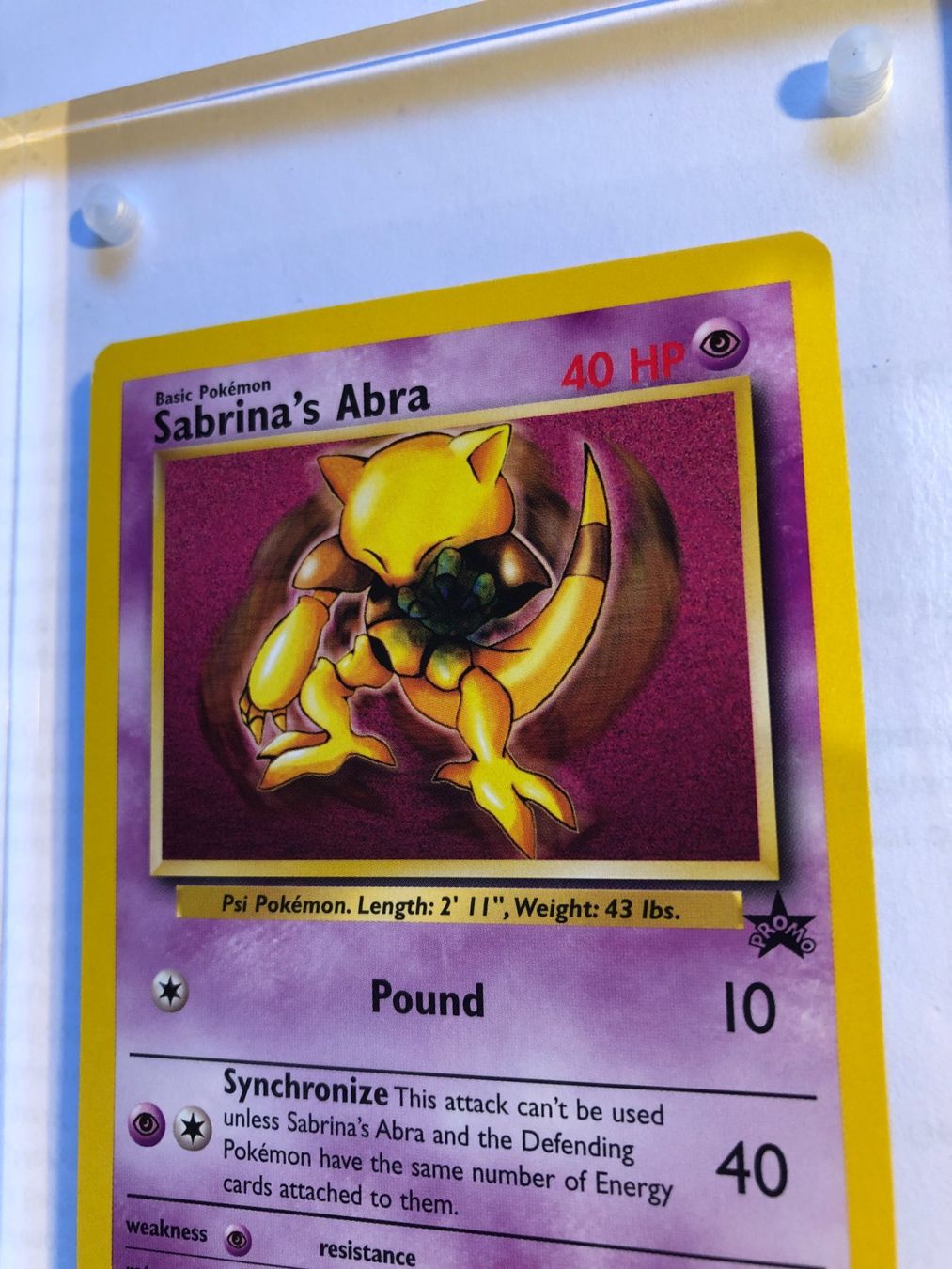 Carte collezionabili: Sabrina's Abra Promo - MINT - ab 1.- – Usato da Giubiasco venduto da dan_pr8b 3
