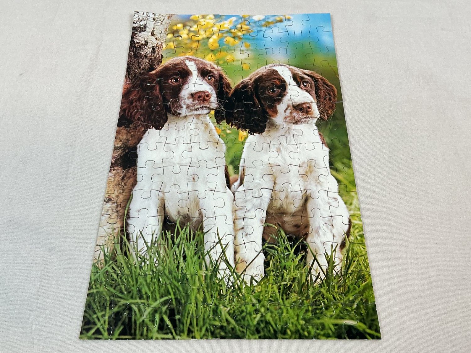 Ravensburger Puzzle: RAVENSBURGER Hund und Katzen Puzzle 2x126 – Usato da Richterswil venduto da Restwert_Richterswil 2