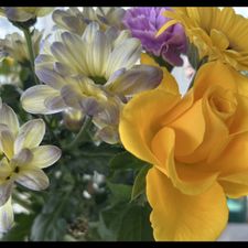 Profile image of AndreaH11