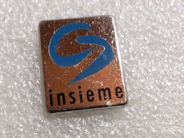 Ansteckpin 293: Insieme