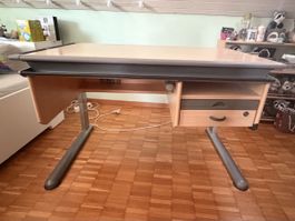 Moll Pult mit Schublade Metall-Gestell gebraucht