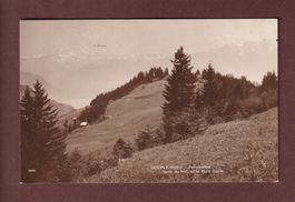 LES PLEIADES - Panorama - 1920