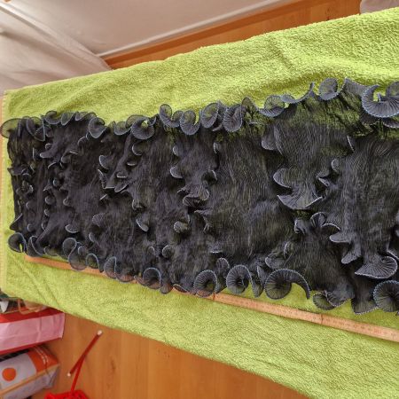 Exklusives englisches Faltfoulard (100 x 35 cm plus Dehnung)