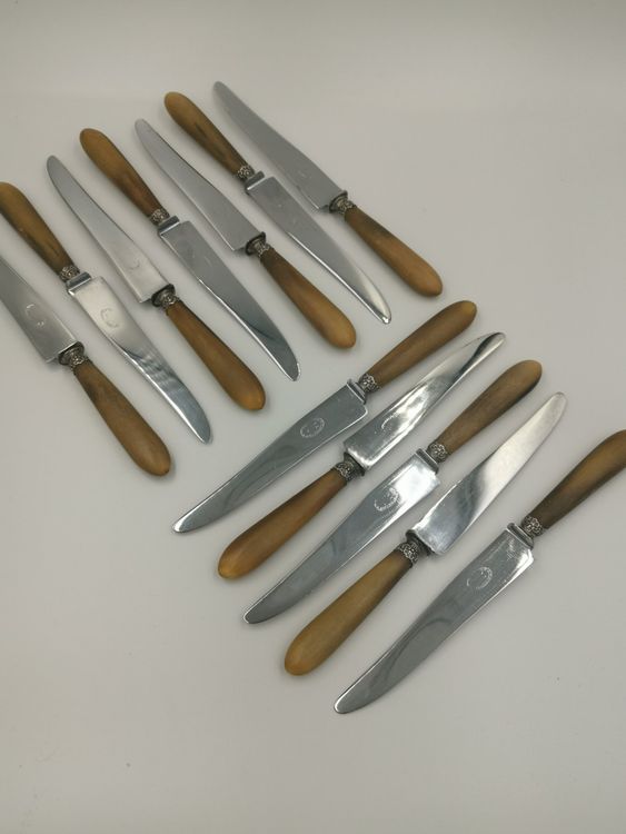 Coffret De 12 Couteaux Pradel Fils - Manche Corne Naturel Et Lame Inox - Vintage