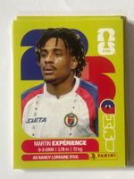 Panini WM 2026 Sticker - Experience HAI 4