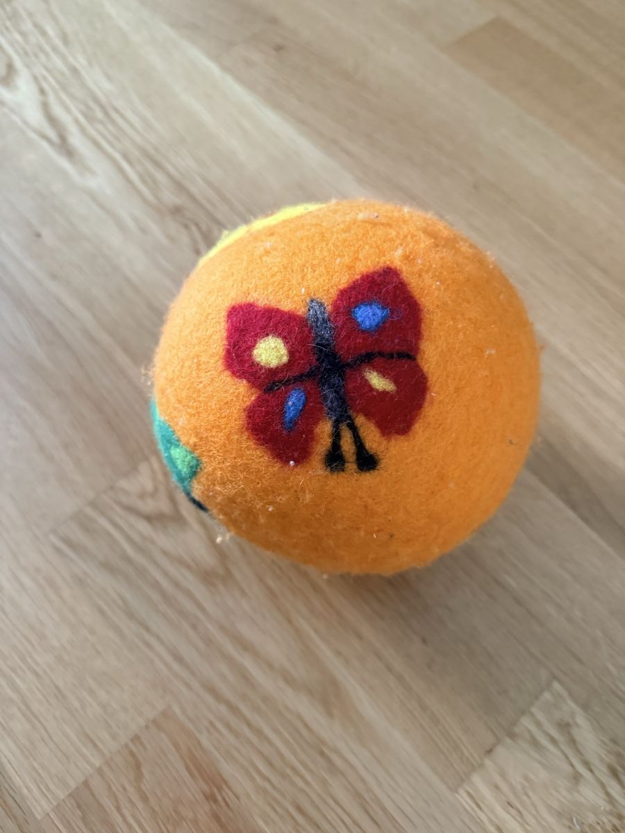 Giocattoli: Ball für die Katze – Nuovo (secondo la descrizione) da Gelterkinden venduto da san_5xd8