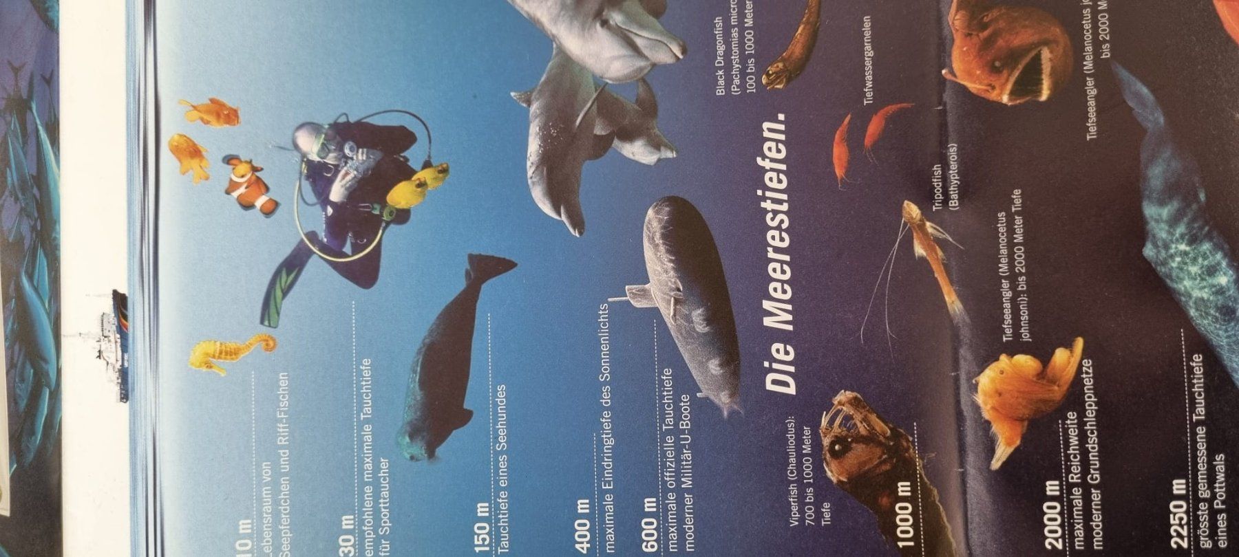Cartine & Atlanti: Meereskarte - Informationen - Wissen – Usato da Spiegel b. Bern venduto da sus_xj97 5