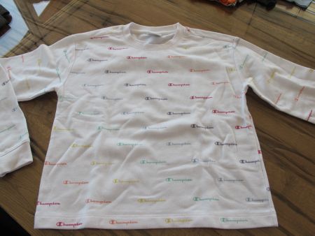 Champion Sweater, Pulli, Grösse152 Top Zustand!
