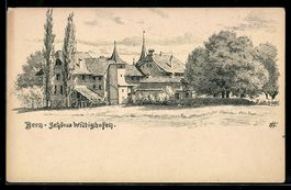 Künstler-AK Bern, Schloss Wittigkofen