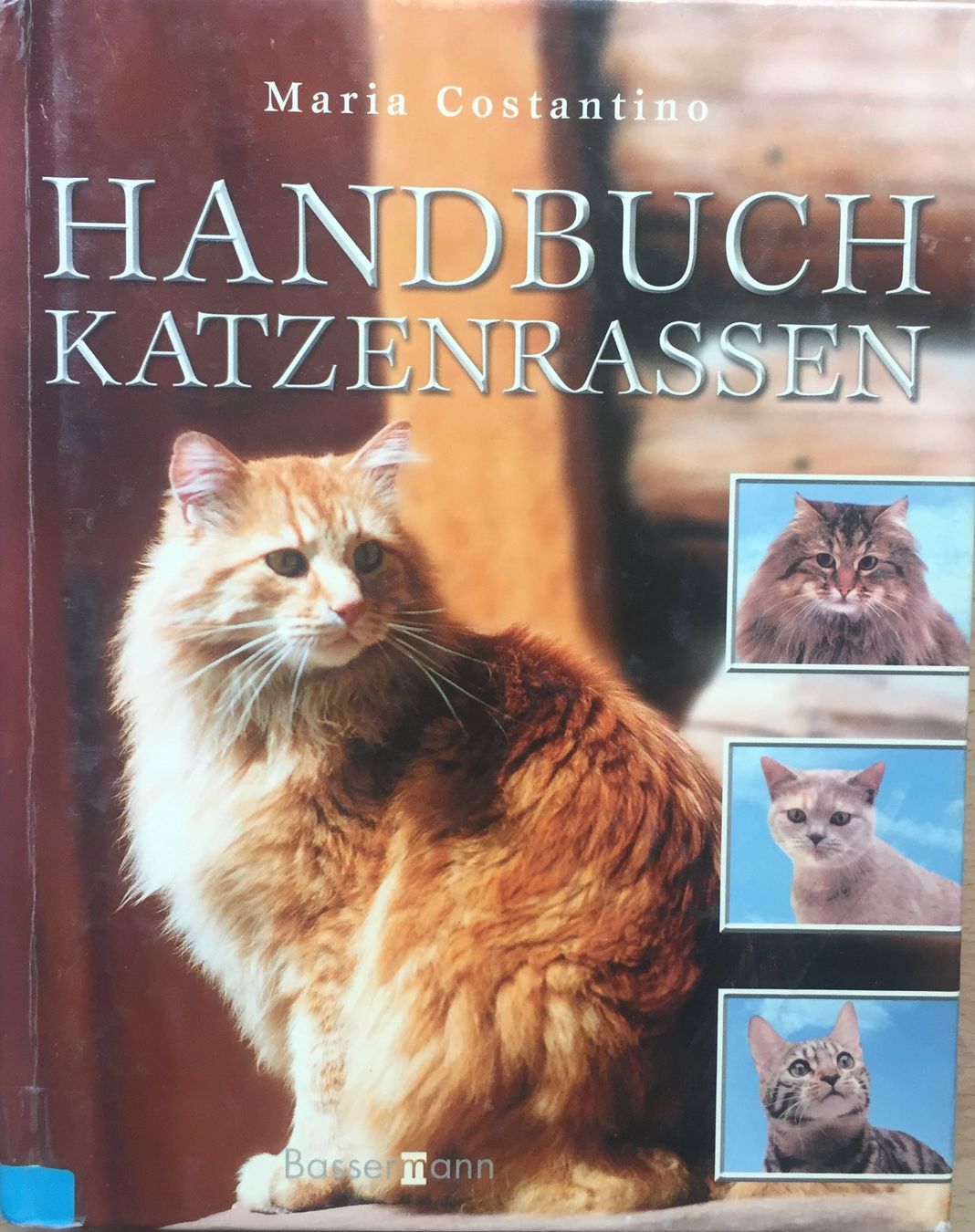 Libri: Buch - Handbuch / Katzenrassen – Usato da Leimbach TG venduto da easydiver87