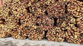 Bois de chauffage de qualité (3 types)