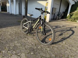24“ Kindervelo Velo Mountainbike