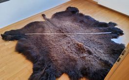 Bisonfell (Echt)