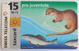 Taxcard zu Pro Juventute Briefmarke