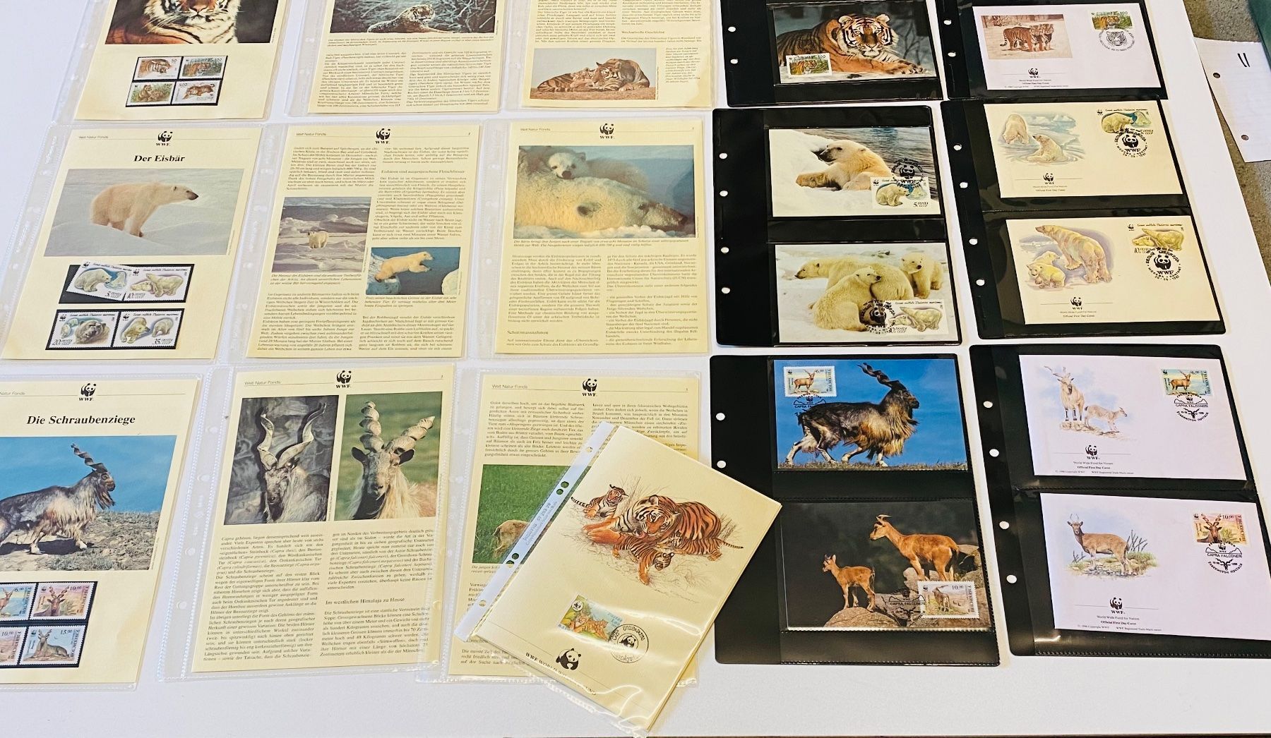 Tutti i francobolli: Sammlung 50 Seiten Tiger Leopard Elefant Eisbär Ziege – Nuovo (secondo la descrizione) da Müswangen venduto da buyin 4