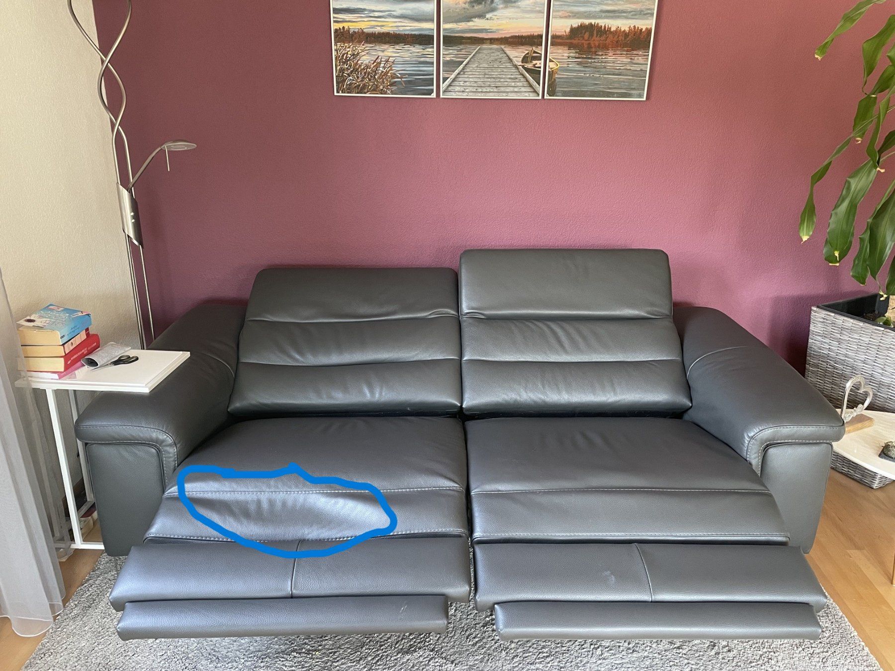 Divani: Sofa – Usato da Reigoldswil venduto da AMG43 3