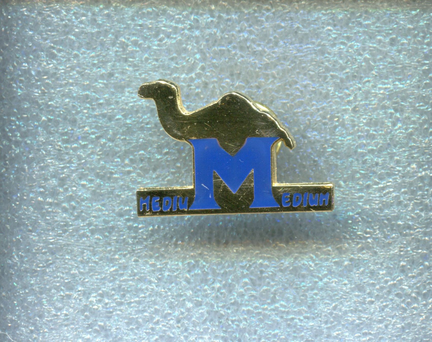 Camel Placchette & Badge: CAMEL – Usato da Winterthur venduto da Sammleroase