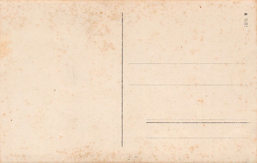 Cartoline postali: Soldat auf Übungsplatz mit Bajonett – Usato da Frauenfeld venduto da POML 1