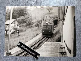 Altenrhein-Walzenhausen - 1961 - Foto-AK