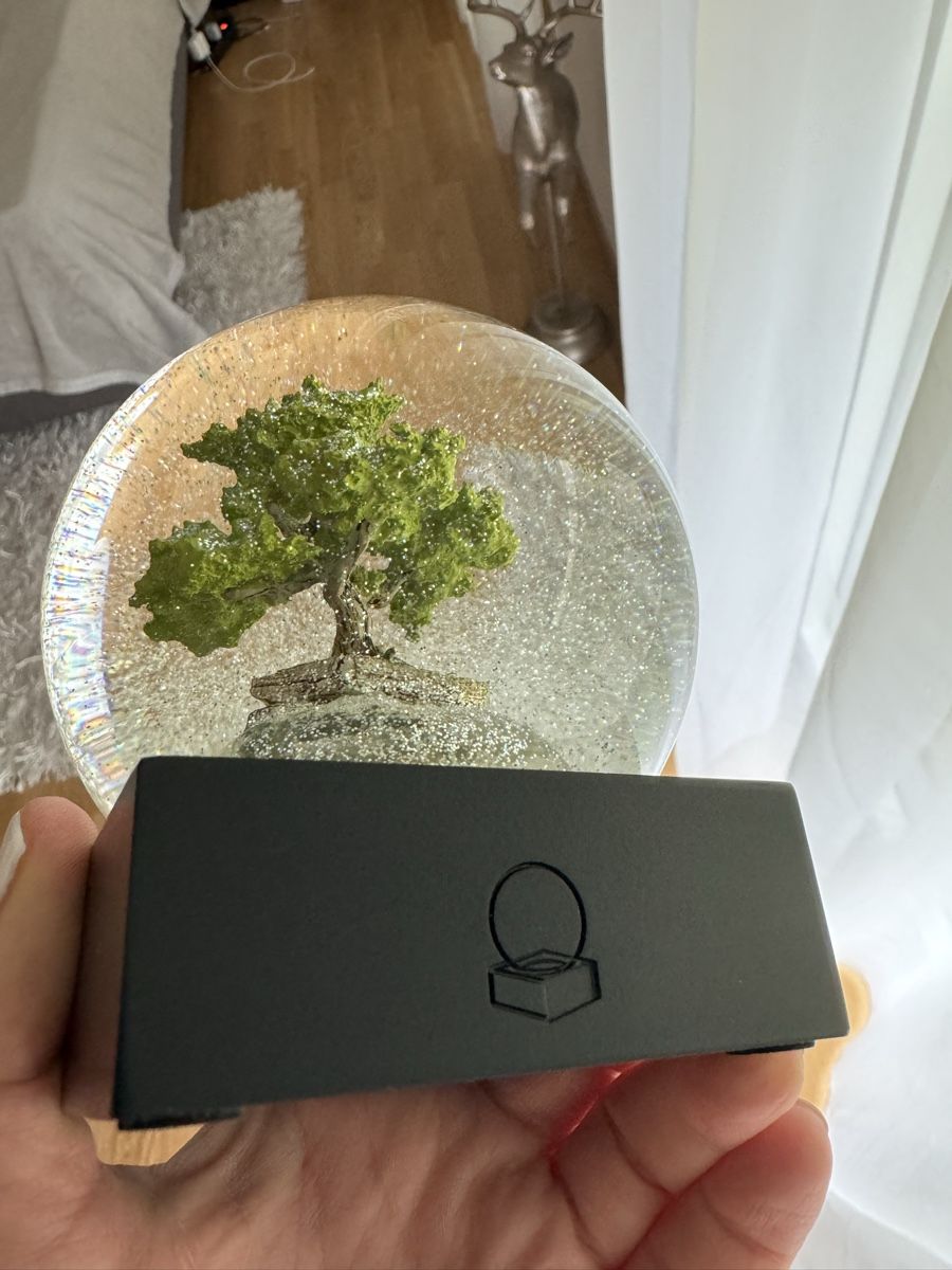 Tutte le decorazioni: Schneekugel Bonsai Baum CoolSnowGlobes – Nuovo (secondo la descrizione) da Luzern venduto da file_maker 3