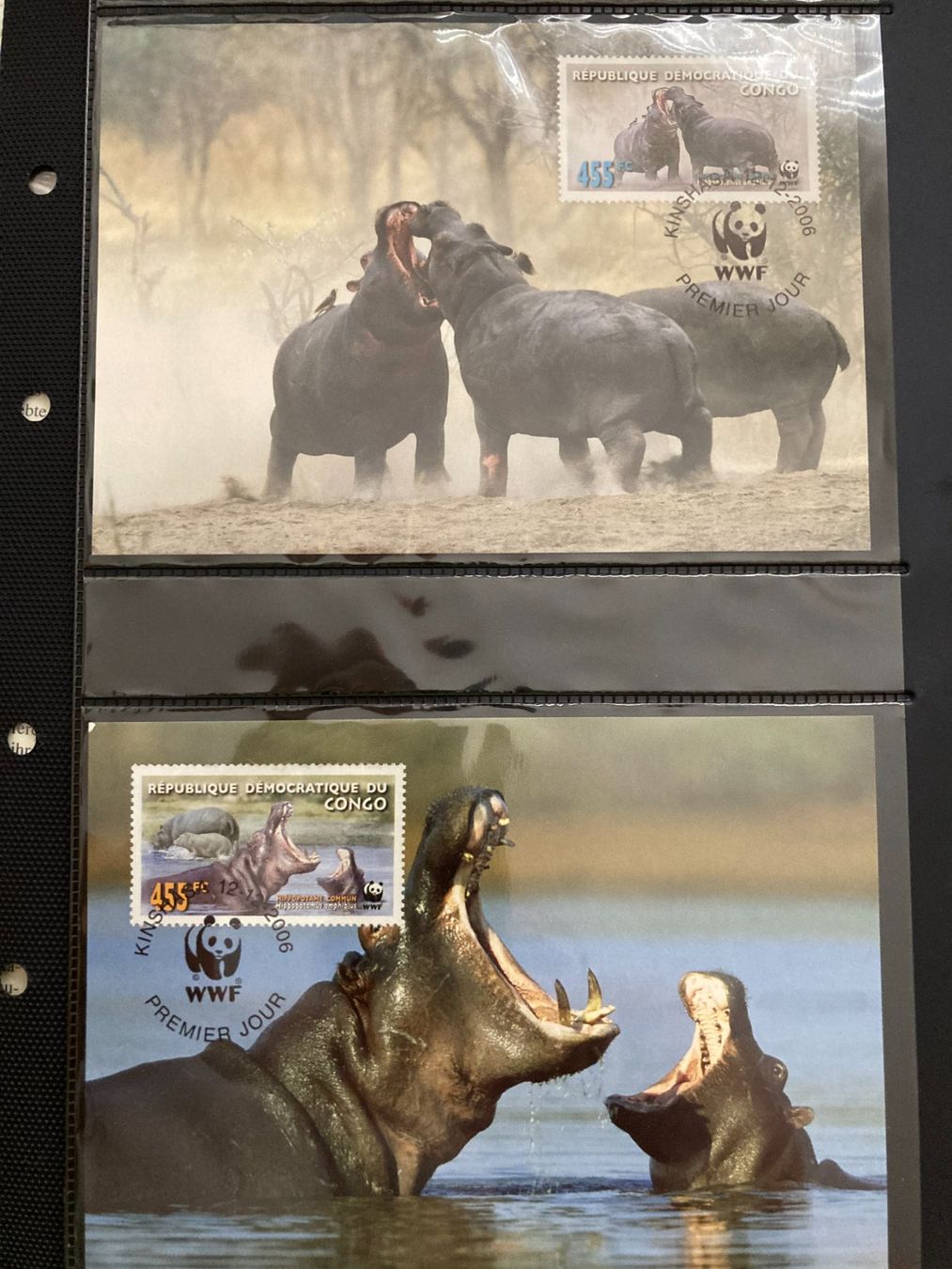 Alle Briefmarken: Kongo 2006 Satz WWF Flusspferd Maximumkarten – Neu (gemäss Beschreibung) aus Liestal von schnueps 1