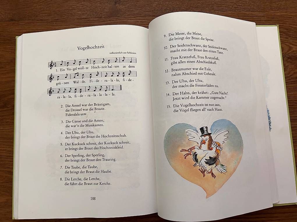 Libri: Grosses Kinder-Liederbuch – Usato da Selzach venduto da lua_22sv 1