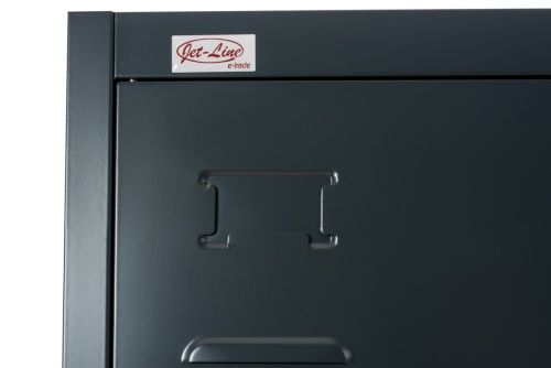 Armadi & Scaffali: Aktenschrank Spind PETROW dunkelgrau – Nuovo e nell'imballaggio originale da Herbertingen venduto da jet-line-e-trade 6