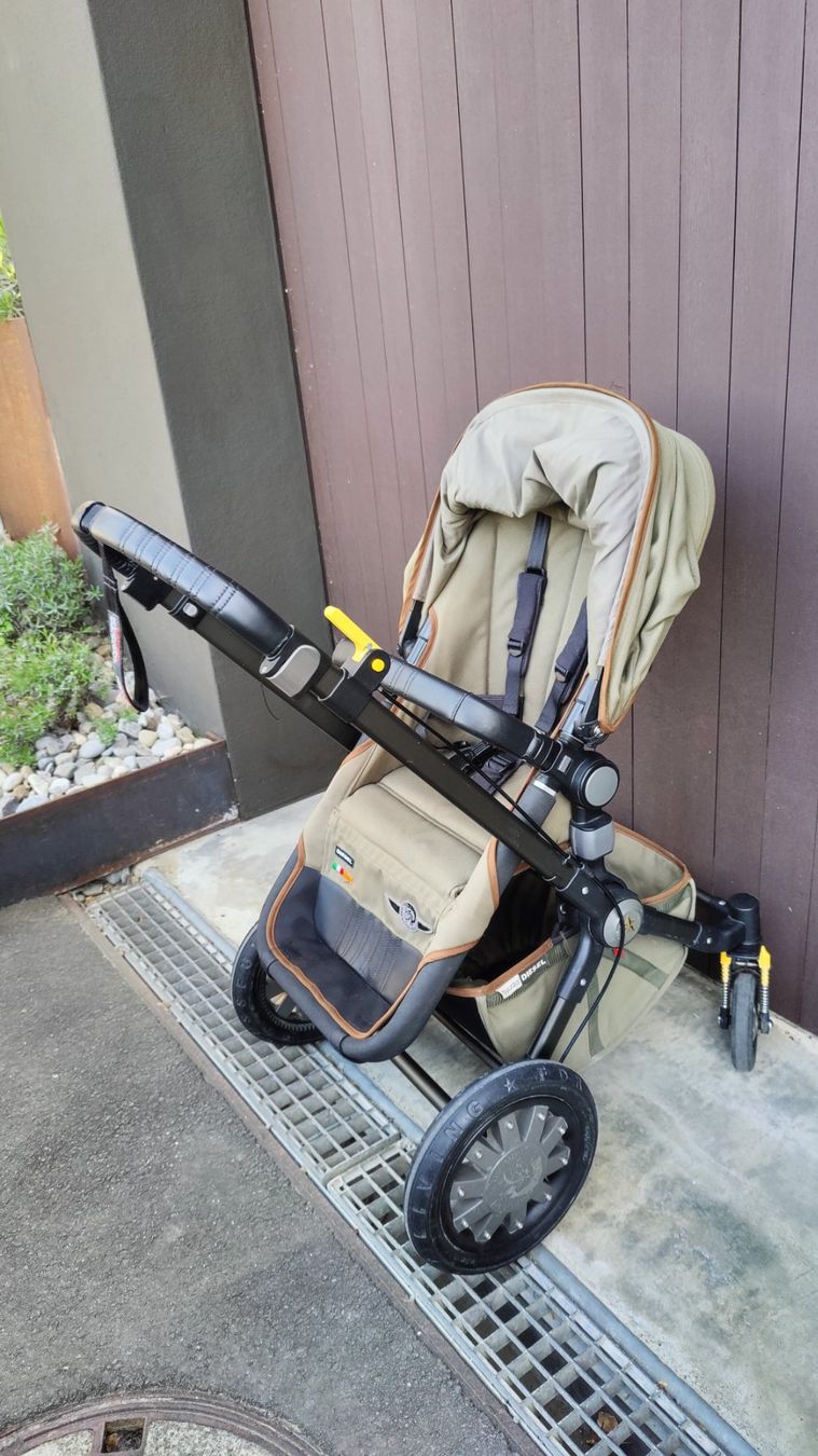 Bugaboo Carrozzine: Bugaboo Diesel Kinderwagen – Usato da Rothenburg venduto da Ladynada 4