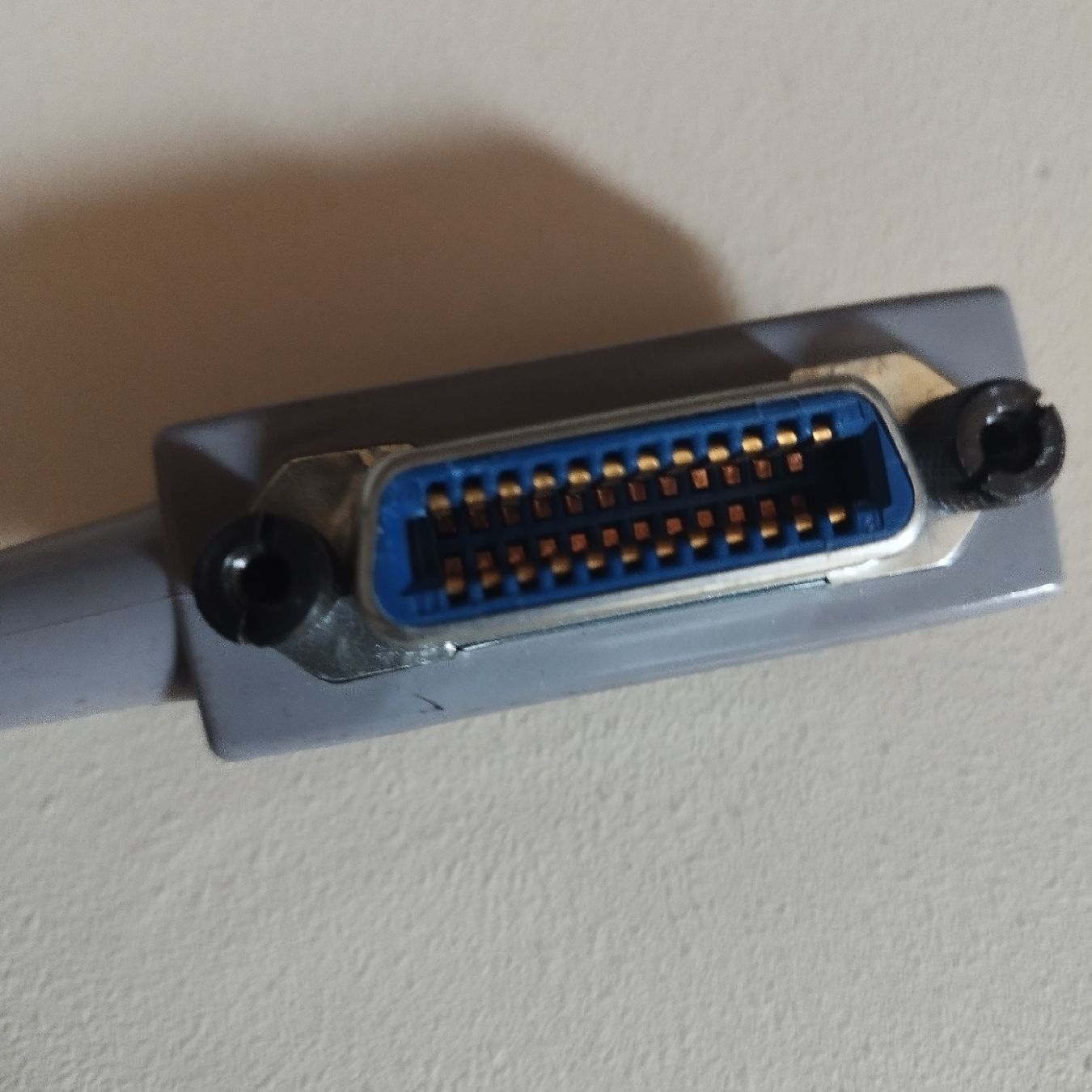 Commodore PCs: Commodore IEEE 488 cable – Gebraucht aus Domdidier von look80486 2