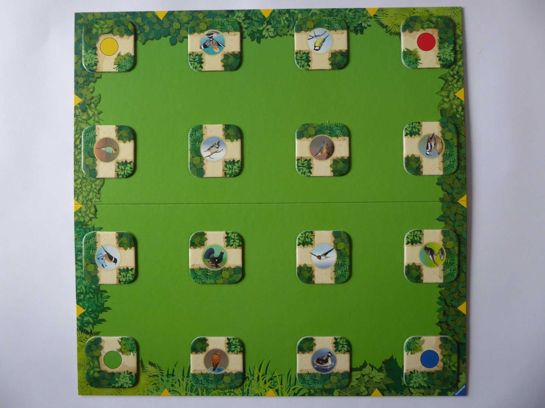 Ravensburger Giochi: Ravensburger Spiel Labyrinth Vogelwarte.ch, 2010, komplett – Usato da Turbenthal venduto da Nautop 2