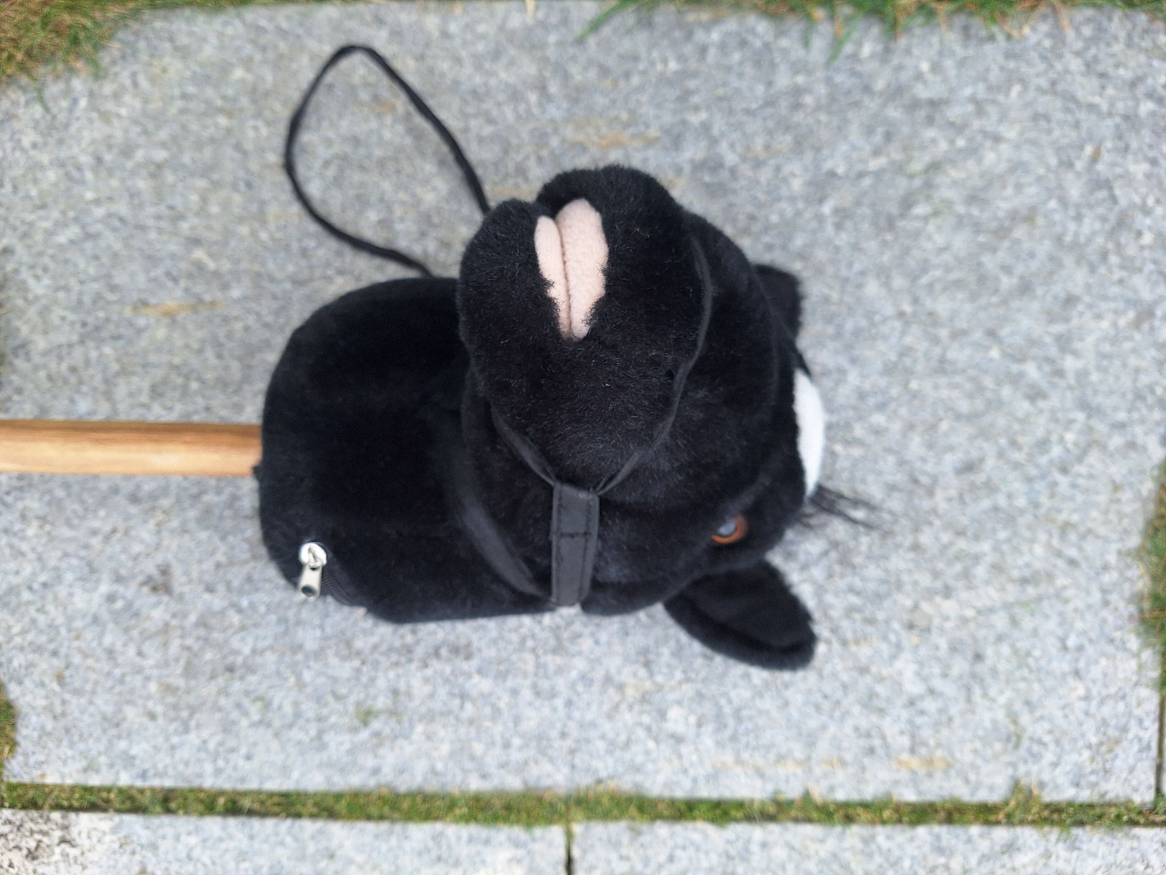 Giocattoli: Steckenpferd schwarz mit Holzstab ca. 95 cm – Usato da Sempach Station venduto da Feuersalamander69 2
