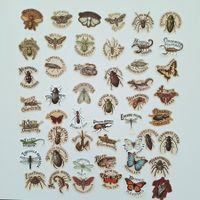 50 Aufkleber Sticker - Insekten