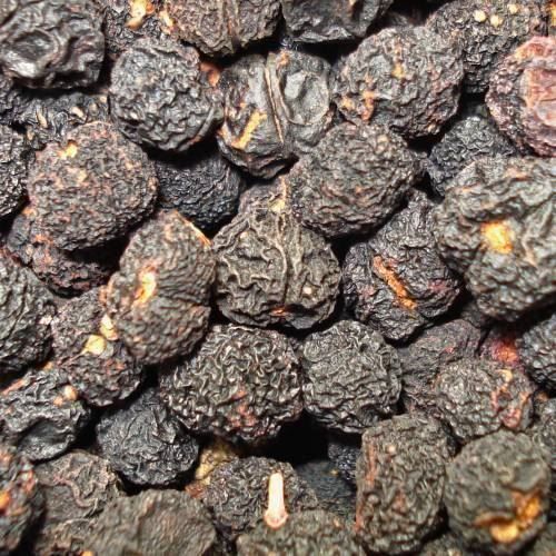 Piante & sementi: Poivrier de Tasmanie   4 PLANTS – Nuovo (secondo la descrizione) da Bremblens venduto da FIBONACCI369 2