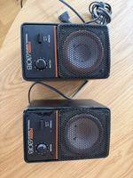 Fostex Aktiv Lautsprecher 6301B