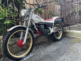 Yamaha TY 250 Mit Ausweis