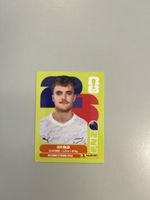 Panini 2026