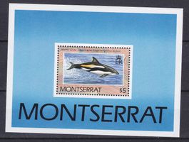 DELFIN-BLOCK 59, MONTSERRAT, POSTFRISCH (10.5 x 7.5cm)