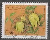 POLEN,  litbops berlutti - BLUME    (30