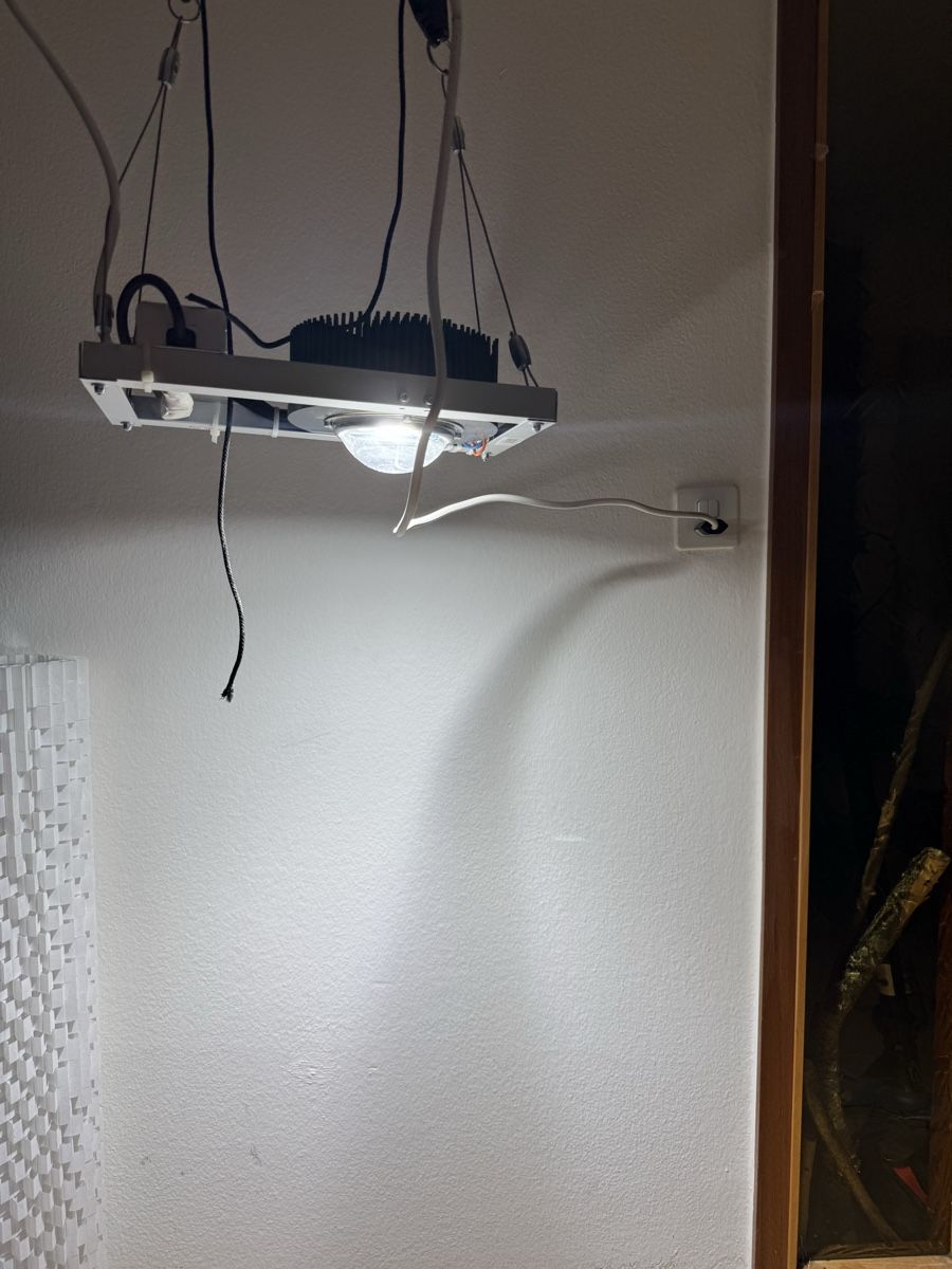 Lampade: Led Pflanzenlampe 75 watt – Usato da Dällikon venduto da luescher1992