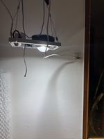 Led Pflanzenlampe 75 watt