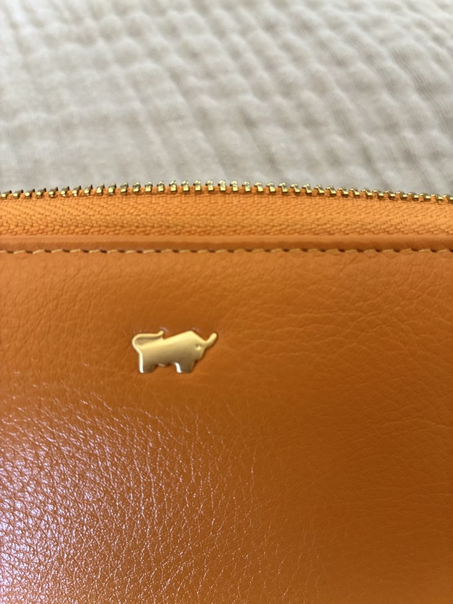 Braun Büffel Portamonete: Braun Büffel wallet with golden features – Usato da Mont-sur-Rolle venduto da Rozsnora 6