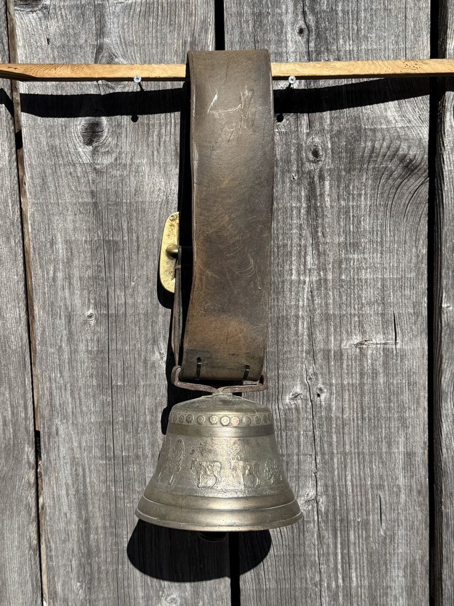 Campanacci mucche: Schöne alte Glocke – Usato da Sargans venduto da foxtrading 2