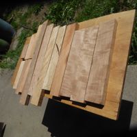Holzreste Holzbrettchen verschiedene Hölzer Naturzustand