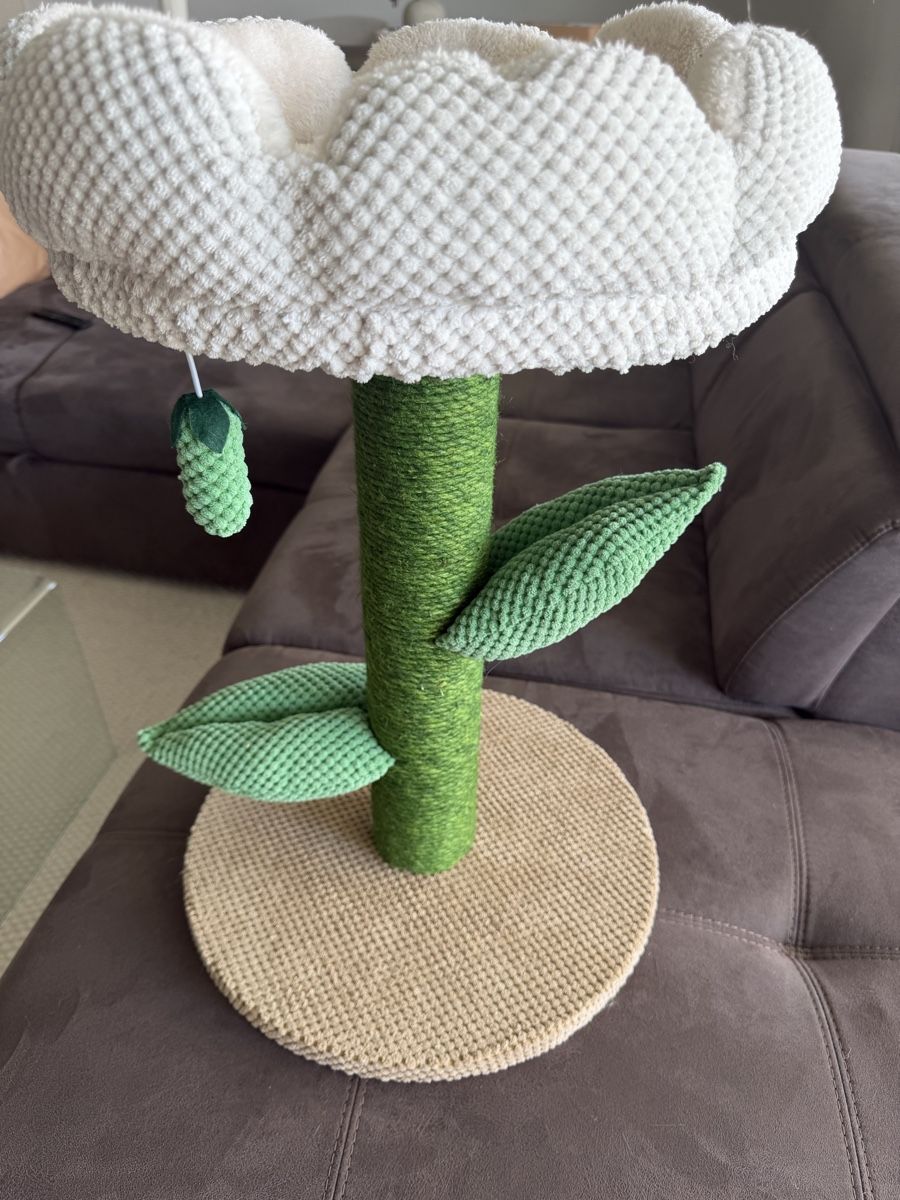 Tiragraffi: Mini Kratzbaum – Nuovo (secondo la descrizione) da Staufen venduto da mer_2g7m 2
