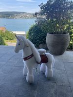 Ponycycle, Pony zum Reiten
