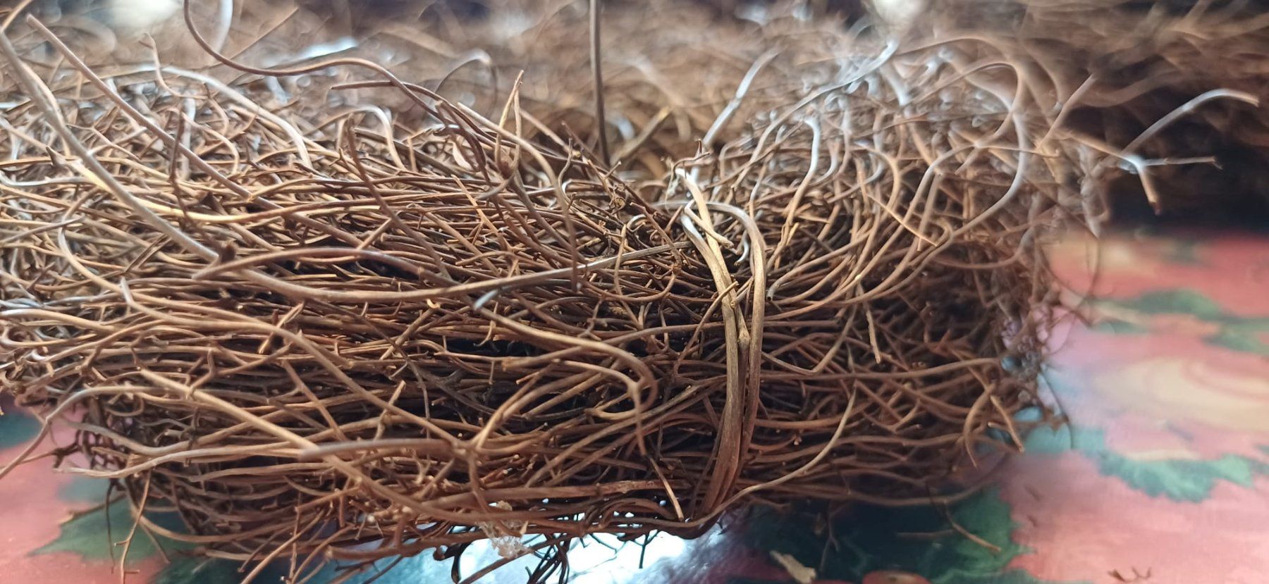 Tutte le decorazioni: Couronnes/Nids naturels à décorer lots de 5 – Nuovo (secondo la descrizione) da Payerne venduto da jea_m6nb 4
