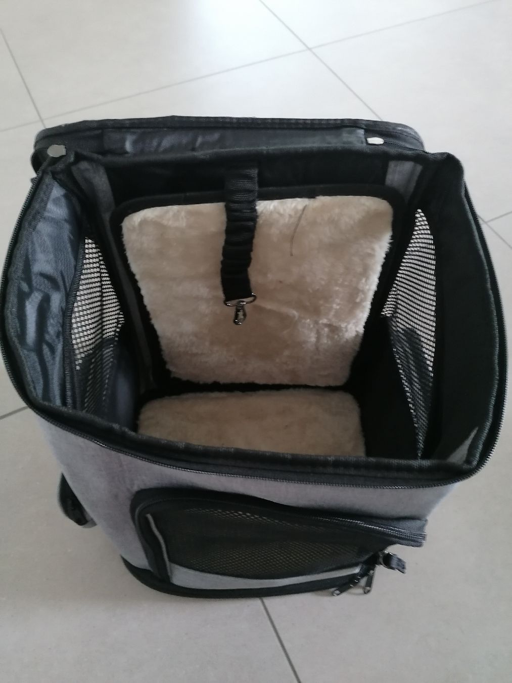 Zaini: Hunderucksack bis 7,5 kg – Usato da Hunzenschwil venduto da Gruftie0 3