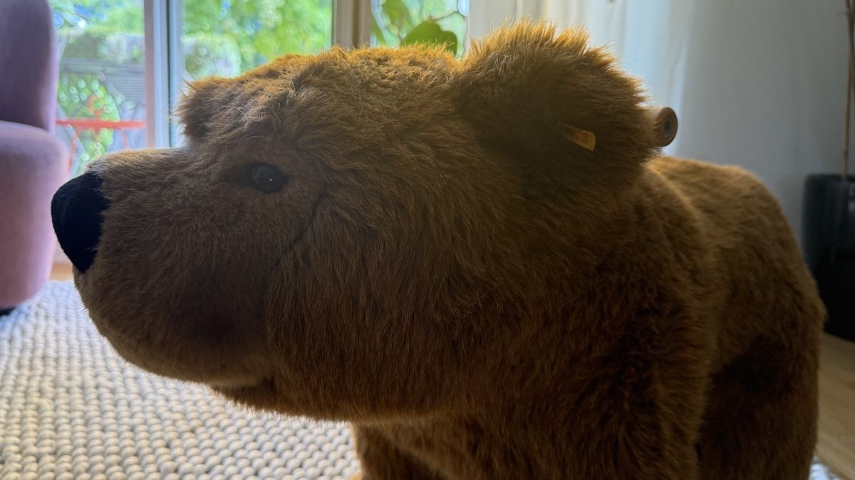 Autre balançoires de jardin: Steiff Urs Schaukelbär – D'occasion à Zürich par jay_kay5 4